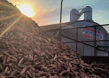 Ingredientes que unen valores