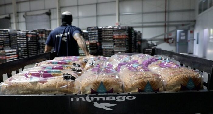 Panificación en movimiento