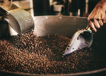 Categorías en expansión